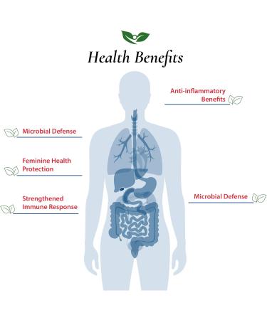 Foods For Gut Bifidobacterium Adolescentis Probiotic Powder 100 Billion cfu's | No Additives | Digestive & Immune Support | High Potency | B. Adolescentis | 60 Grams (2.11 Oz) 2.11 Ounce (Pack of 1) - Buy Online on GoSupps.com