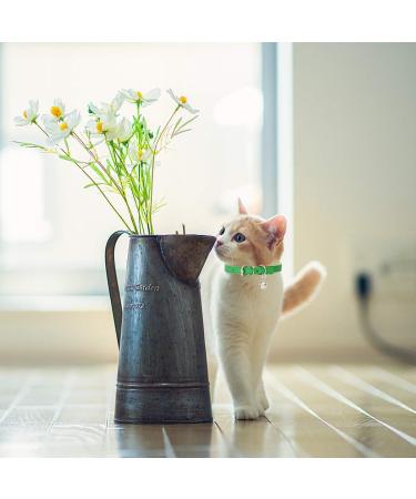 Handmade Leather Cat Neck Straps with Bells - Adjustable Durable 8-Piece Set for Small Pets | Perfect for Indoor & Outdoor Use - Buy Online on GoSupps.com