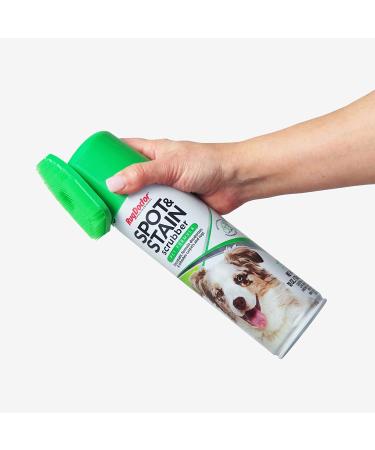Rug Doctor Pet Formula Spot and Stain Scrubber 18 oz. | Powerful Pro-Enzymatic Formula - Removes Pet Stains & Odors | Built-In Fabric-Safe Brush | CRI Tested & Approved - Buy Online on GoSupps.com