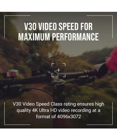 PNY 256GB Premier-X Class 10 U3 V30 microSDXC Flash Memory Card - 100MB/s - Buy Online on GoSupps.com