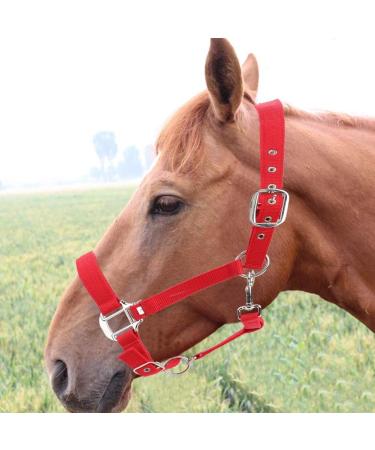 Horse Fly Control Horse Heads 6mm Training Leadership Driving Headpiece - Buy Online on GoSupps.com