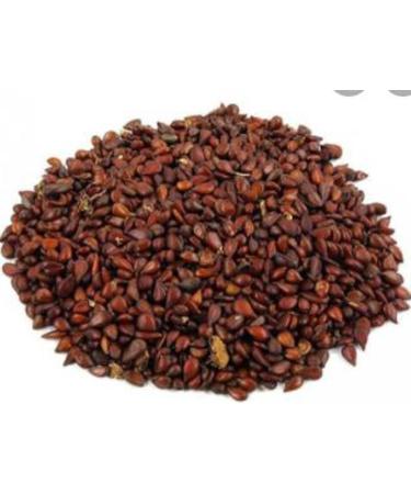 RAW HERBS/JADI BOOTI DRIED BEEDANA BIDANAQUINCE SEEDS BAHEE DANA PYRUS CYDONIA (50gm) - Buy Online on GoSupps.com