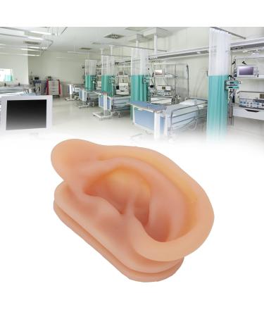 Silicone Human Ear Model with Display Stand - Acupuncture & Piercing Practice Tool - Buy Online on GoSupps.com