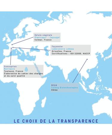 Nutripure | BCAA 2.1.1 Powder | 100% Vegan | Natural & Vegetable Origin | Essential Amino Acids | Strength Training & Endurance During Exercise | 220g | Made in France - Buy Online on GoSupps.com