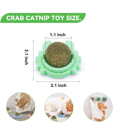 Aucenix Catnip Balls Toy for Cat Wall Catnip Roller for Cat Licking Teeth Cleaning Dental Edible Kitten Toy Natural Rotating Cat Balls Cat Nip Balls Cat Toy (Green-2pcs) - Buy Online on GoSupps.com