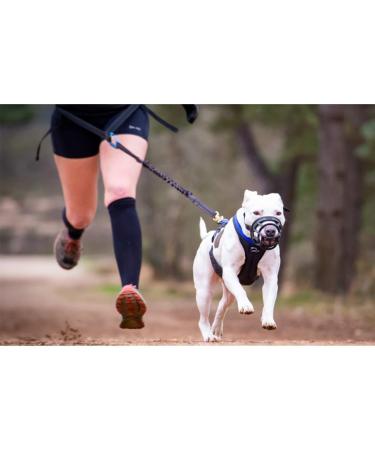 Mayerzon Dog Muzzle - Breathable Silicone Anti Barking & Chewing | Size 2-9 (3.5in) - Black - Buy Online on GoSupps.com