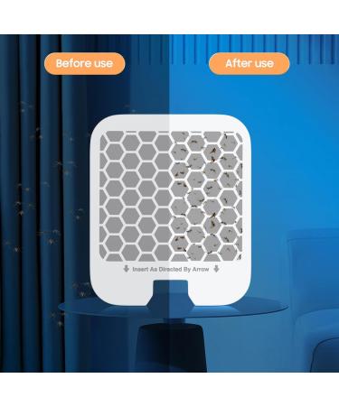 10 Insect Destroyers & 2 Mosquito Lamps - Effective Fly Traps & Nematodes for Mosquito Control - Odorless Solutions for Home & Garden - Buy Online on GoSupps.com