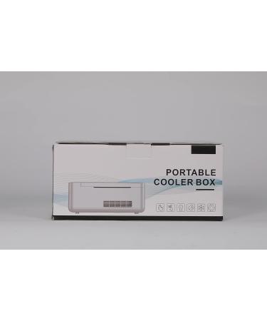 CGOLDENWALL Insulin Cooler Travel Case with Intelligent Temperature Control - Portable Medicine Refrigerator for Home, Car, and Travel - Buy Online on GoSupps.com