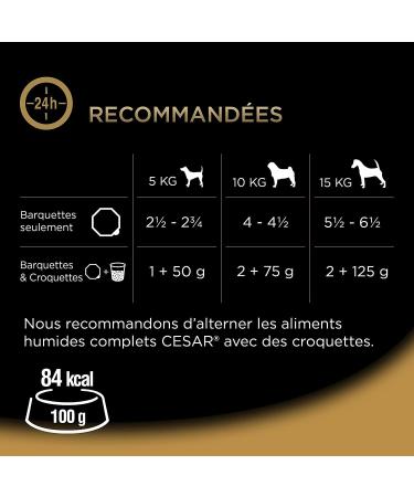 CESAR Dog Meals - 24 Trays (Pack of 3 Packs 8x150g) - Dog Food in Sauce - Beef / Chicken / Lamb / Turkey - Complete & Balanced Food with Natural Ingredients - Buy Online on GoSupps.com