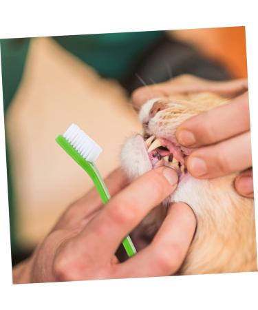 Levemolo 12pcs Double Head Dog Toothbrush Dog Oral Cleaning Toothbrush Cat Toothbrush and Toothpaste Pet Pp - Buy Online on GoSupps.com