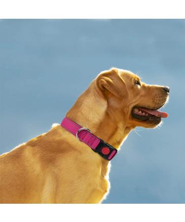 Taglory Soft Padded Neoprene Dog Collar for Medium Dogs - Adjustable & Reflective Hot Pink - Perfect for Training | 1 Pack - Buy Online on GoSupps.com