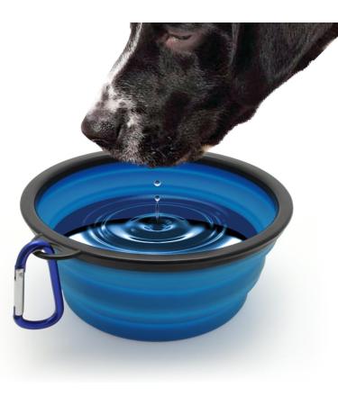 iGadgitz Home Large Foldable Travel Silicone Dog Bowl Food Water Feeding Portable Dish for Pet (Blue) - Buy Online on GoSupps.com