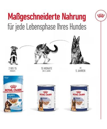 Royal Canin Maxi Adult | 12 x 410 g | Complete Food for Large Adult Dogs (26-44 kg) | Wet Food Rich in nutrients and balanced with highly digestible proteins - Buy Online on GoSupps.com