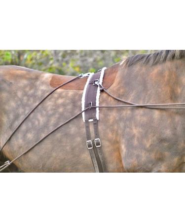 Aces Equine HORSE LUNGING TRAINING AID PESSOA STYLE WITH BODY ROLLER ONE SIZE BLACK AND BROWN - Buy Online on GoSupps.com