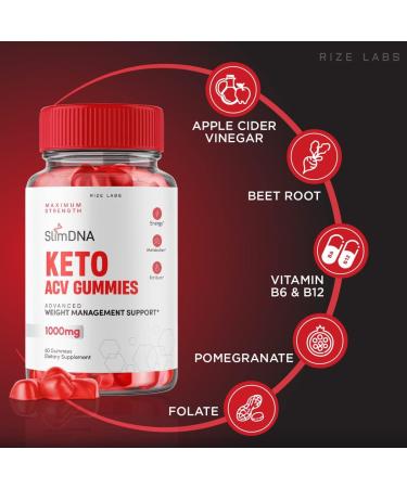 2 Pack SlimDNA Keto ACV Gummies for Advanced Weight Loss - Apple Cider Vinegar Shark Tank Supplement - Belly Fat Extra Strength Gomitas (120 Gummies) - Buy Online on GoSupps.com