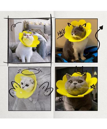 Renyigou Pet Rehabilitation Collar - Sunflower Yellow - Size M: 21-25cm/8.3-9.9in - Buy Online on GoSupps.com