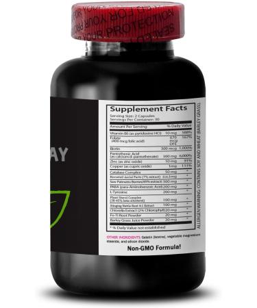 Gray Hair Supplement - Anti Gray Hair Complex - Anti Gray Hair Pills Natural Tone Color Preservation Youthful Shade Gray Hair Support Color revitalizer Fresh Tone Color Renewal 2 Bot 120 Caps - Buy Online on GoSupps.com