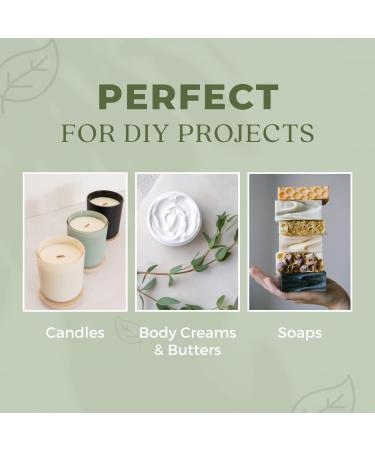 100% Pure Basil Essential Oil for Alertness - 1 oz Therapeutic Grade Aromatherapy Oil - Buy Online on GoSupps.com