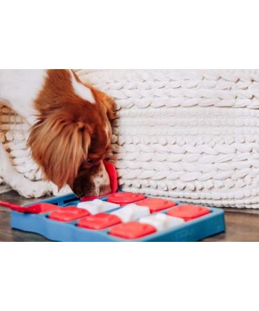 Nina Ottosson Interactive Treat Puzzle Game Dog Toy Level 2 - Teal/Red/White/Brown - Buy Online on GoSupps.com