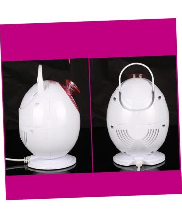 DRESSOOS 1pc Face Humifigier Steamer for Face Hair Steamer Portable Humidifiers White and Face Steamer - Buy Online on GoSupps.com