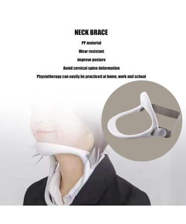 Ergonomic Neck Support for Office Workers - Improve Posture & Relieve Neck Pain | PP Neckrest for Comfort - Buy Online on GoSupps.com