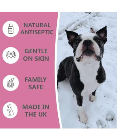 Pets Purest Wound & Antiseptic Spray - 100% Natural Skin Care Treatment for Dogs, Cats & Pets | Healing, Soothing & First Aid Kit Supplies - 65ml - Buy Online on GoSupps.com