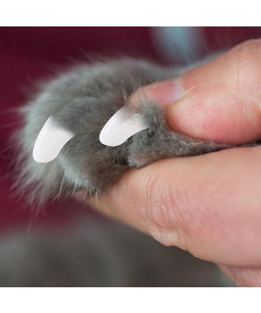 UKCOCO 40 Pcs Cat & Dog Nail Caps - Claw Protection Covers for Cats & Dogs - White 1x0.8cm - Buy Online on GoSupps.com