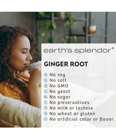 Earth's Splendor Ginger Root 550 mg Supplement for Men & Women Supports Digestive Health No Artificial Color or Preservatives (550 mg 100 Capsules) - Buy Online on GoSupps.com