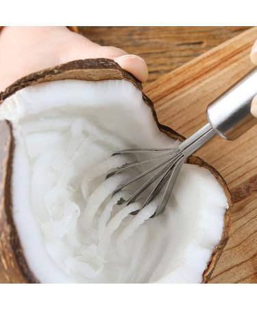 Buy QANYEGN Stainless Steel Coconut Scraper & Shaver Multipurpose Kitchen Tools for Easy Coconut Preparation - Buy Online on GoSupps.com