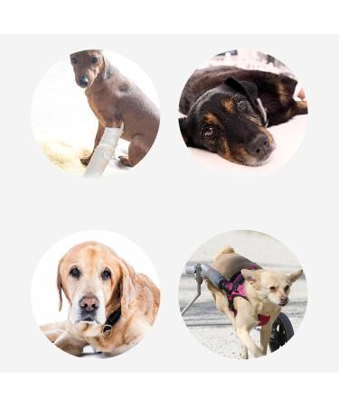 uikios Dog Lift Harnesses Regulable Dog Slings Hip Support Harnesses Dog Carry Slings for Canine Mobility Aid Small - Buy Online on GoSupps.com