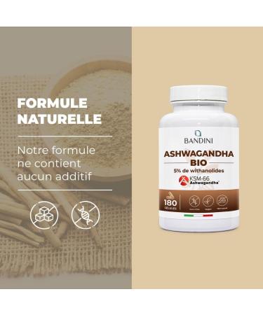 Bandini Ashwagandha BIO KSM-66 Extra Fort - 500mg par dose 5% de witanolides - 180 G lules pour 6 mois - Poudre de Withania Somnifera 100% V gane - Bien- tre Physique & Mental Tonus Concentration - Buy Online on GoSupps.com