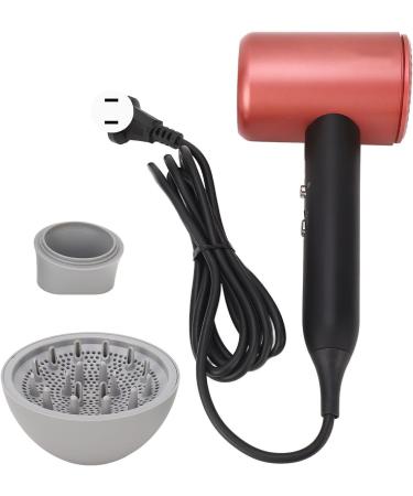 Professional Ionic Hair Dryer 1800W Fast Drying Low Noise Blow Dryer with Ion Technology 2 Nozzles for Home Salon Travel (US Plug 100 to 240V 110V) - Buy Online on GoSupps.com