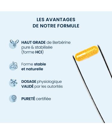 Berberine Pure concentrated 98% - Berberis Aristata extract - 60 capsules of 300 mg - Blood glucose & cholesterol regulated - High grade of Berberine Stabilized Hcl - No Additives & Vegan - Dynveo - Buy Online on GoSupps.com