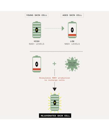 Pai Skincare - Age Confidence Renewal Serum with NAD+ and TriPeptide | Natural Vegan Sensitive Skincare (1 fl oz | 30 ml) - Buy Online on GoSupps.com