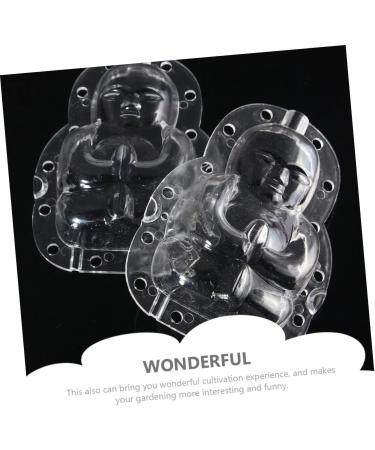 FUNOMOCYA 2pcs Vegetable Shaping Mold Clear Fruit Fruits Growth Garden Adorable Fruit Mold Cucumber Apple Pear - Buy Online on GoSupps.com