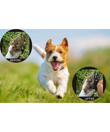 Valfrid Anti-Slip Paw Protection for Dogs - 48 Self-Adhesive Silicone Gel Pads Non-Slip Traction Dog Shoes Multicolor Size S (0-5kg) - Buy Online on GoSupps.com