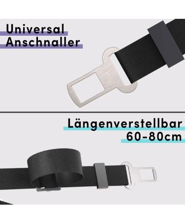 STUCH Universal Bungee Safety Belt for Dogs & Cats | Lilac - Fits All Breeds & Car Types | Secure Your Pet During Travel - Buy Online on GoSupps.com