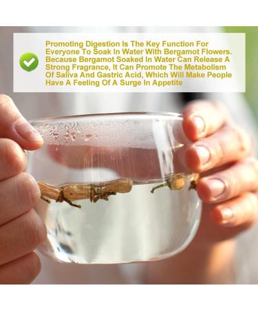 PlantGift Dried Bergamot Flower 80G/2.82oz Citrus Bergamot Tea Citrus Medica Chinese Health Tea - Buy Online on GoSupps.com