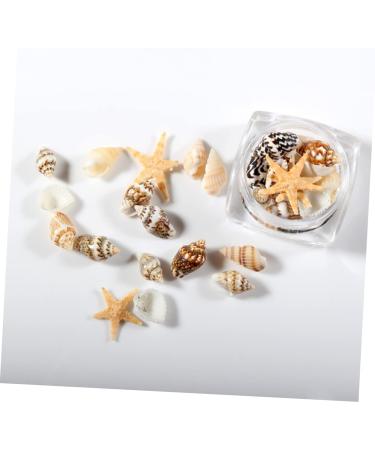 minkissy 1 Box Conch Jewelry Nail Art Decoration Nail Decorations for Nail Art Shell Decor Nail Jewelry Conch Shells Nail Decoration Nail Ornament Nail Stickers 3d False Nails - Buy Online on GoSupps.com