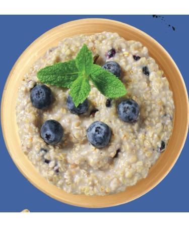 Seitenbacher Porridge Blueberry - Your Warm Breakfast with 30% Protein I Wheat Free I (1 x 500 g) - Buy Online on GoSupps.com