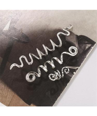 6-Piece Hair Accessories Set: Hair Coils for Dreadlocks & Braids Serpentine Metal Clips & Silver Lichen Hair Accessories - Shop Internationally! - Buy Online on GoSupps.com