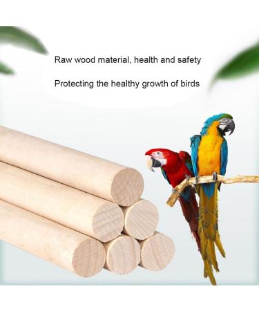 Bird Perches Cage Toys Parrot Wooden Platform Exercise Stands with Wood Swing Ferris Wheel Chewing for for Parakeet Conure Cockatiel Budgies Hummingbird (Style C) - Buy Online on GoSupps.com
