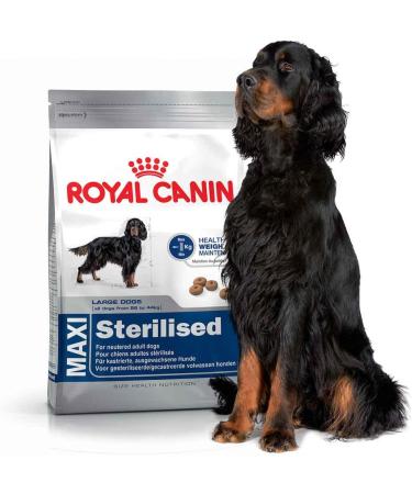 ROYAL CANIN Roybj Maxi Sterilised Dog Food 1 x 3 kg - Buy Online on GoSupps.com