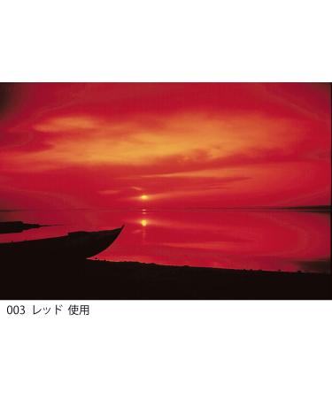 Cokin Square Red (Z003) Filter - 3 1/3-Stop for L Series Holder - 100mm X 100mm - Buy Online on GoSupps.com