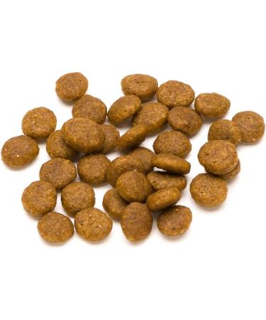 Buy Lifelong Complete Dry Cat Food - Salmon & Rice | 10kg | Best International Shipping - Buy Online on GoSupps.com