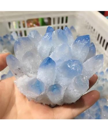 Natural Crystal Rough 500-650g Natural Blue Phantom Quartz Stone Crystal Cluster for Decoration Gift 1pc 1pc 500-650g - Buy Online on GoSupps.com
