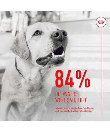 Royal Canin Dog Supplement for Digestion Soft Chews 160g - Buy Online on GoSupps.com