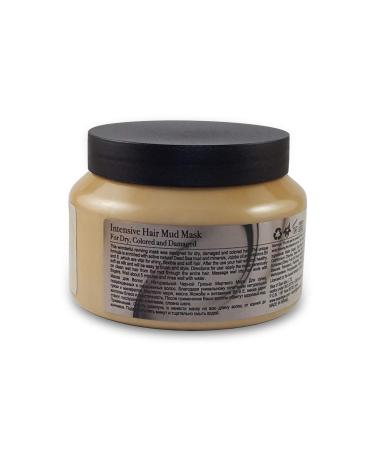 Bio Spa Intensive Hair Mud Mask for Dry, Damaged & Colored Hair - 500ml/16.9 fl.oz - Buy Online on GoSupps.com