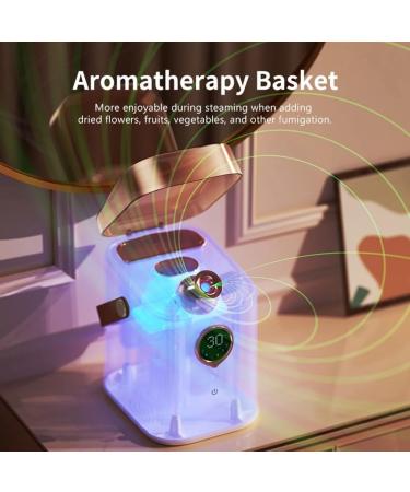 Qbkohphifm Nano Ionic Face Steamer Deep Clean Moisturizing Steaming Face Skin Care Hot Cold Sprayer Steamer Spa Sprayer Easy Install A - Buy Online on GoSupps.com