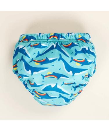 TotsBots Reusable Swim Pants 12-18 Months - Rainbow Whale Design - UK Made, Pool Safe & Stretchy Fabric - Buy Online on GoSupps.com